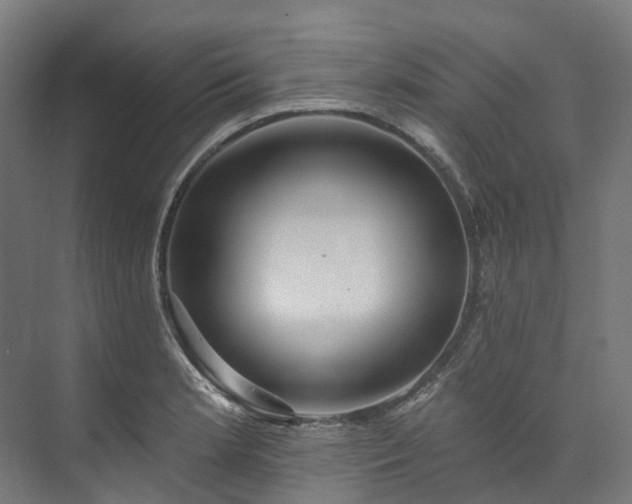 X0000073851181200608171025