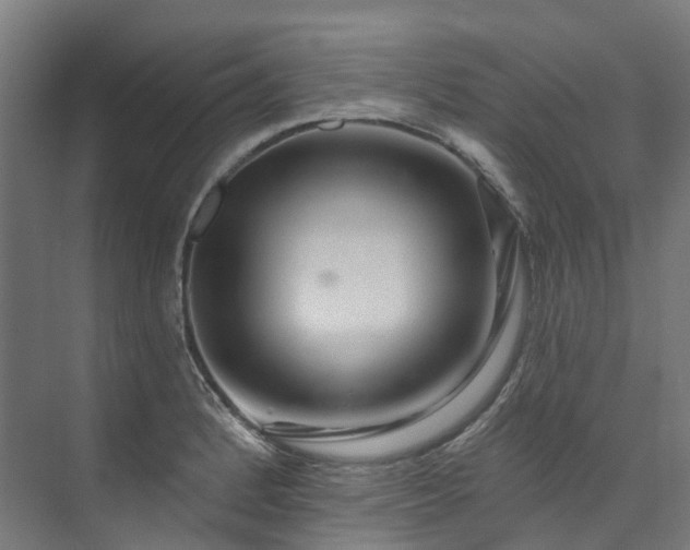 X0000073851184200608171025