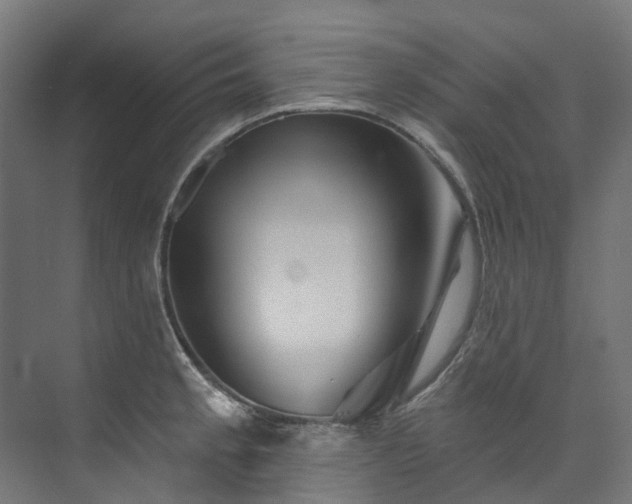 X0000073851189200608171025