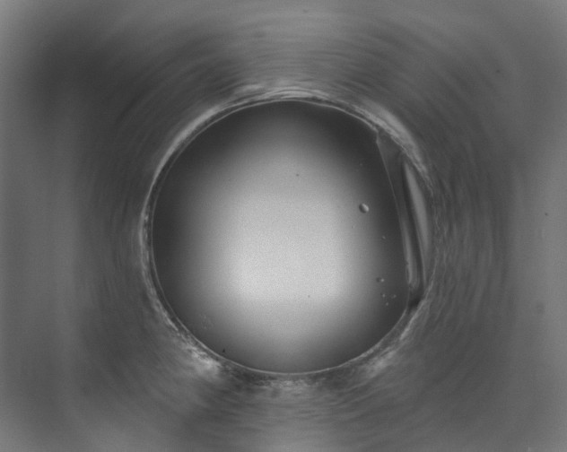 X0000073851190200608171025