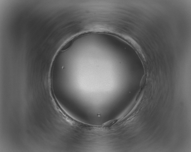 X0000073851191200608171025