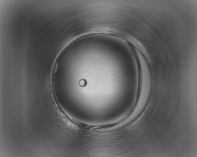 X0000073851192200608171025