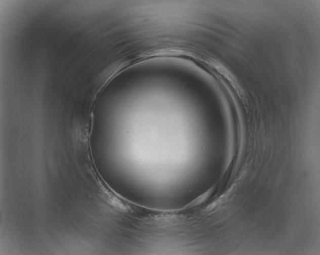 X0000073851193200608171025