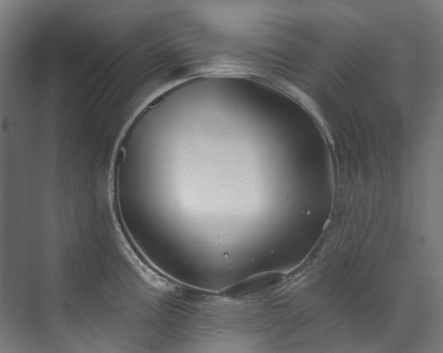 X0000073851195200608171025