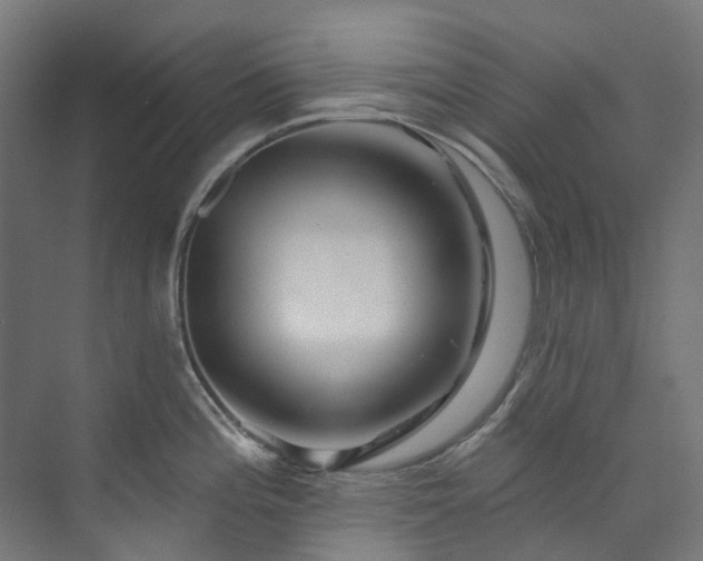 X0000073851196200608171025