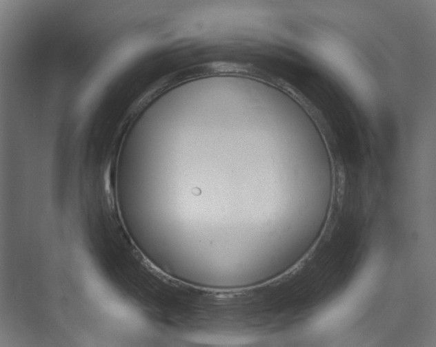 X0000073851198200608171024