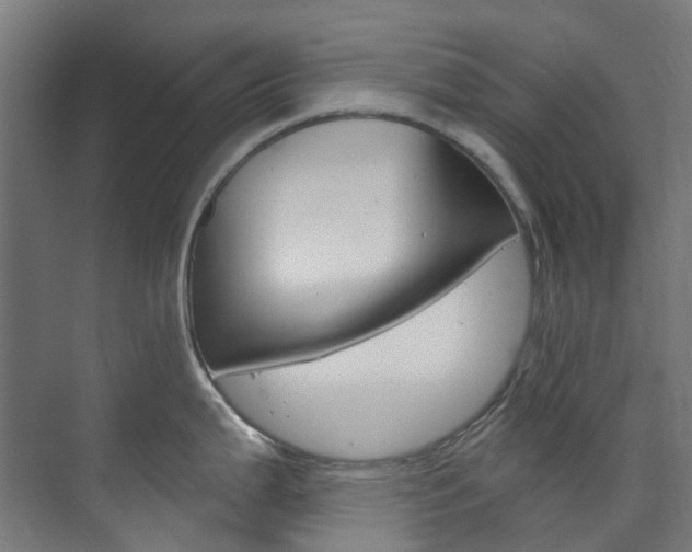 X0000073851199200608171024