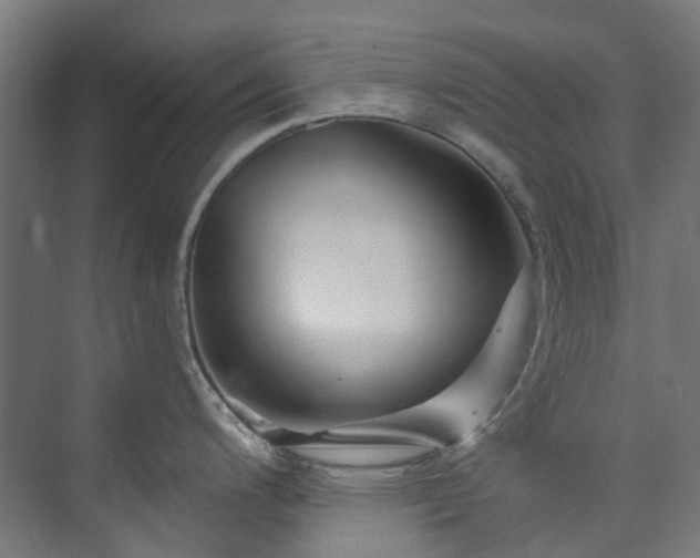 X0000073851200200608171024