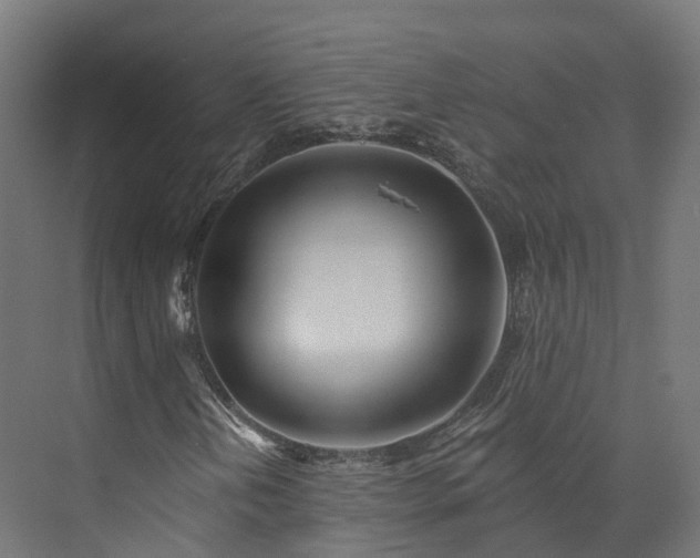 X0000073851202200608171024