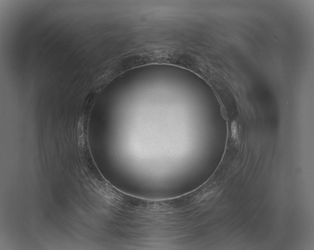 X0000073851203200608171024