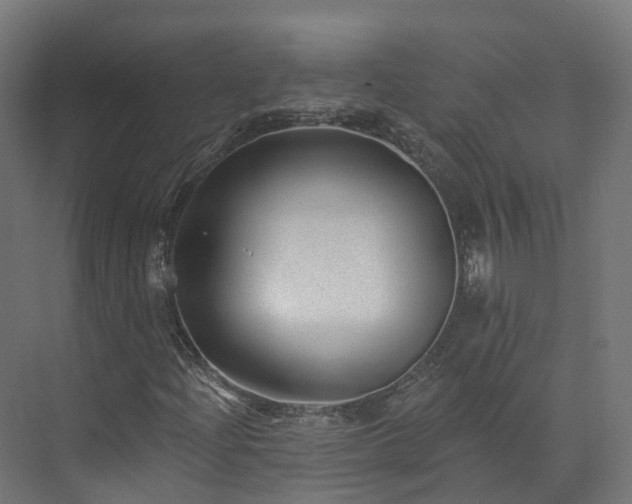 X0000073851204200608171024