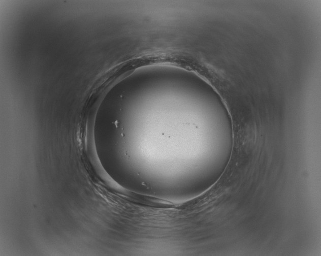 X0000073851206200608171024