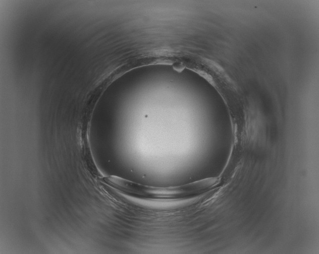 X0000073851209200608171024