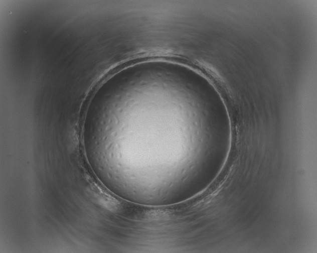 X0000073851212200608171024