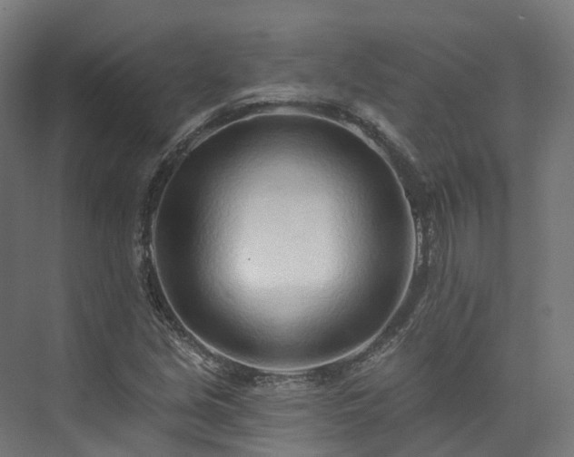 X0000073851213200608171024