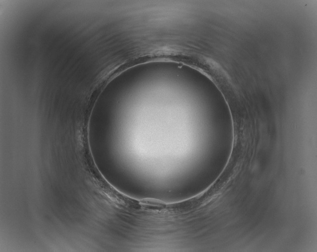 X0000073851217200608171024