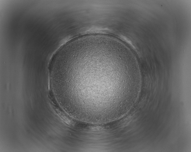 X0000073851219200608171024