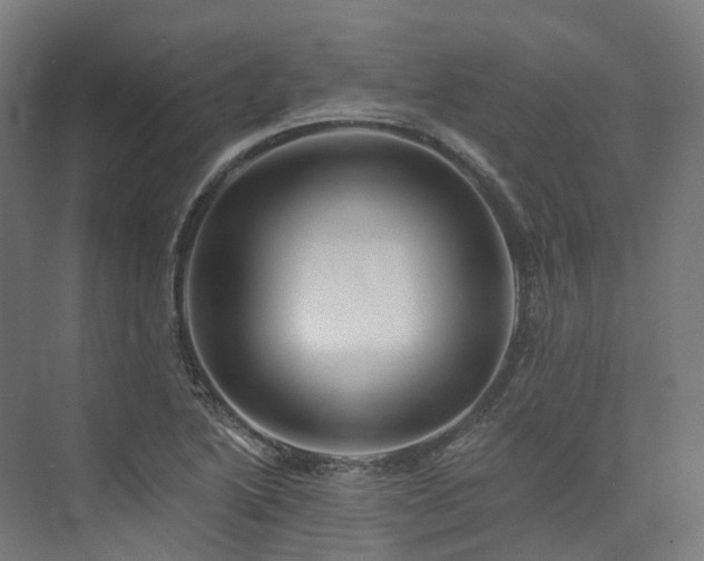 X0000073851222200608171024