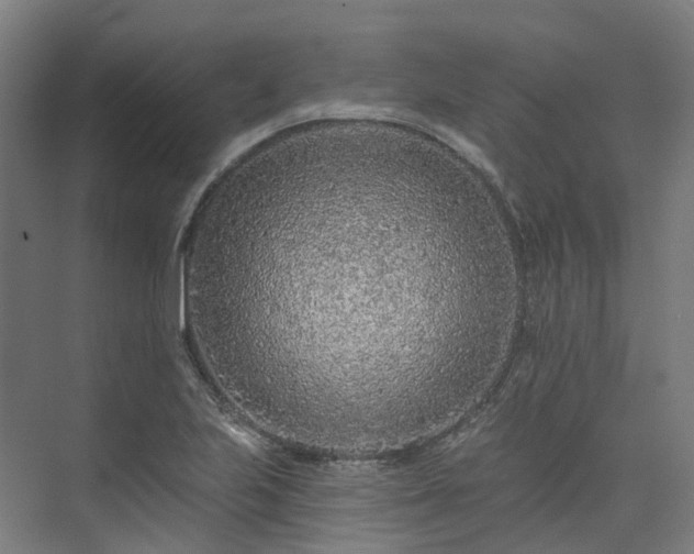 X0000073851223200608171024