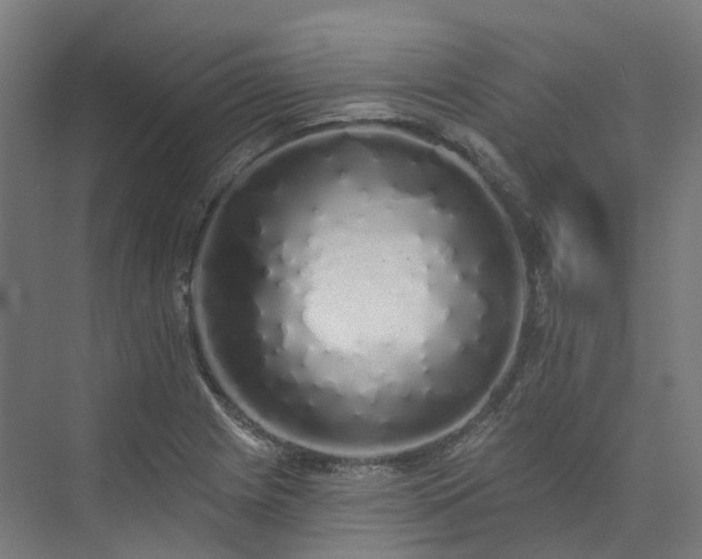 X0000073851225200608171024