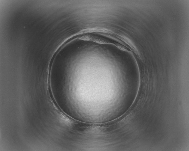 X0000073851228200608171024