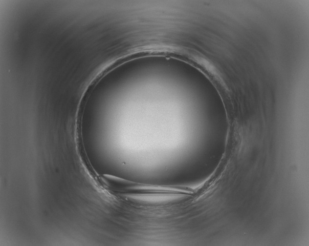 X0000073851229200608171024