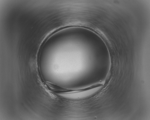 X0000073851230200608171024