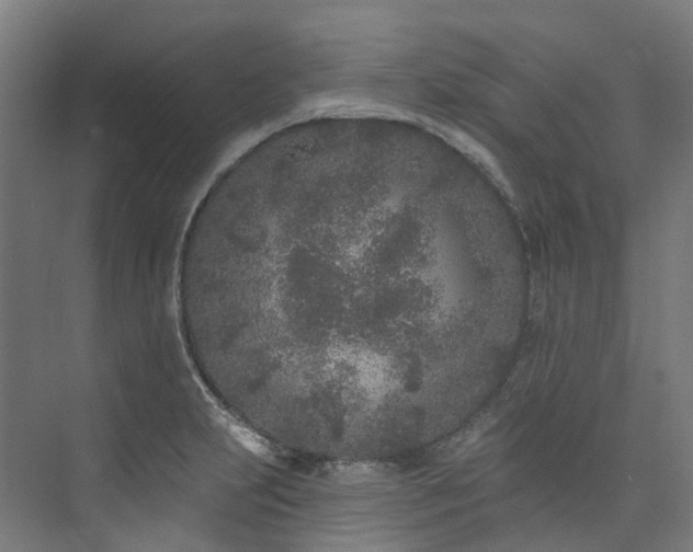 X0000073851231200608171024