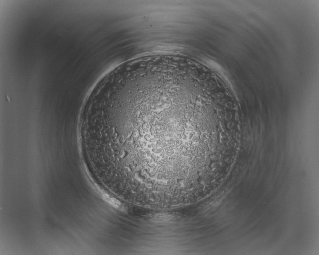 X0000073851235200608171024