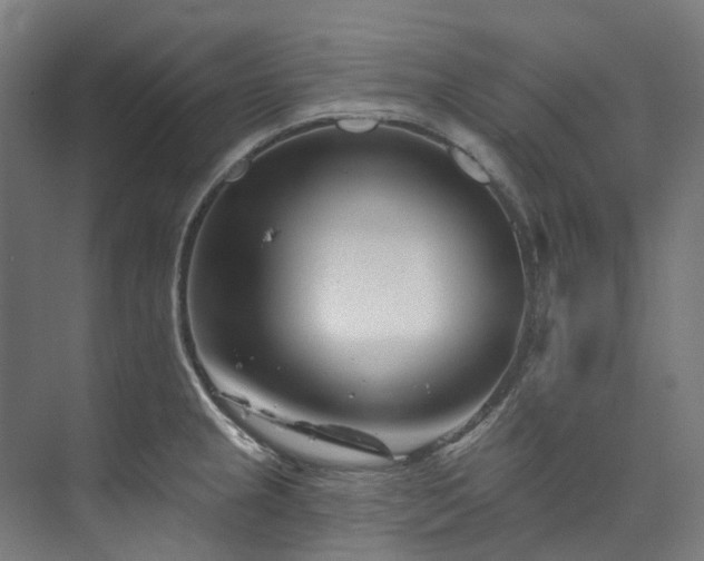 X0000073851237200608171024