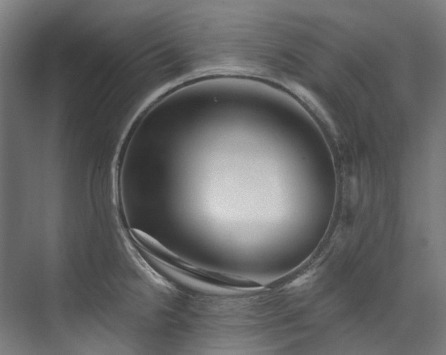 X0000073851238200608171024