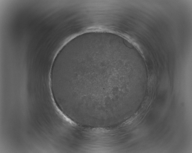 X0000073851239200608171024