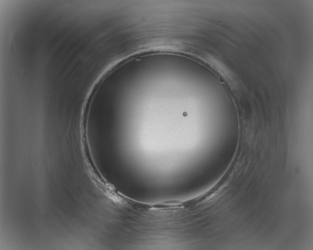 X0000073851240200608171024