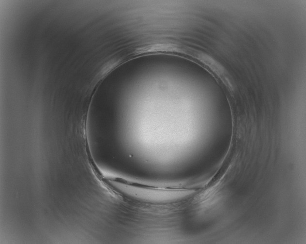 X0000073851241200608171024