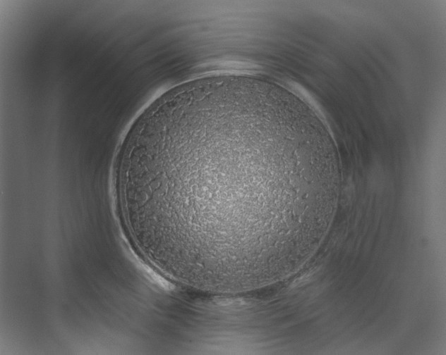 X0000073851243200608171024