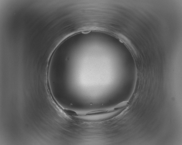 X0000073851244200608171024