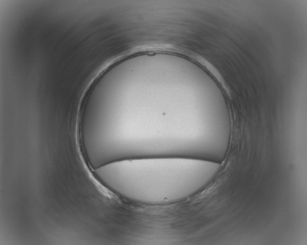 X0000073851245200608171024