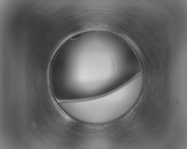 X0000073851246200608171024