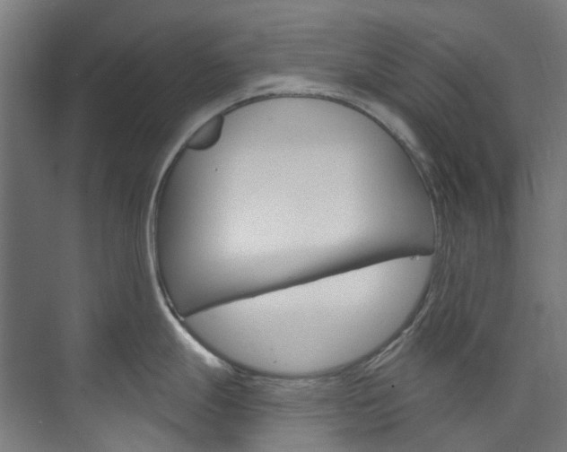 X0000073851247200608171024