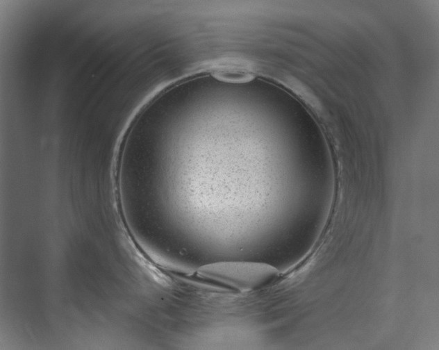 X0000073851248200608171024