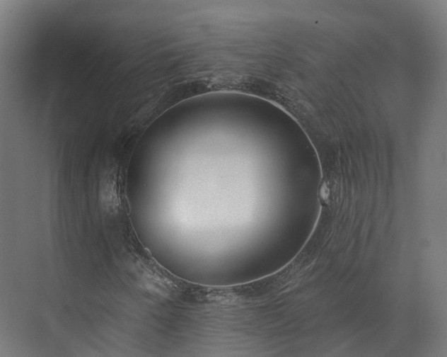 X0000073851250200608171024