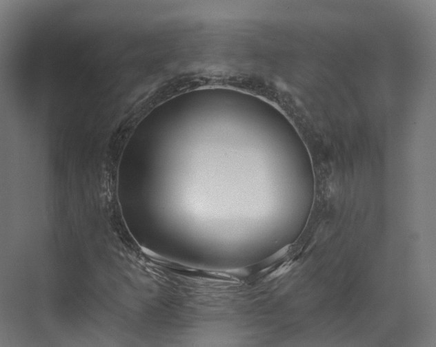 X0000073851253200608171024