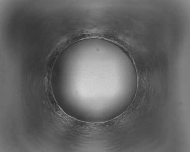 X0000073851254200608171024