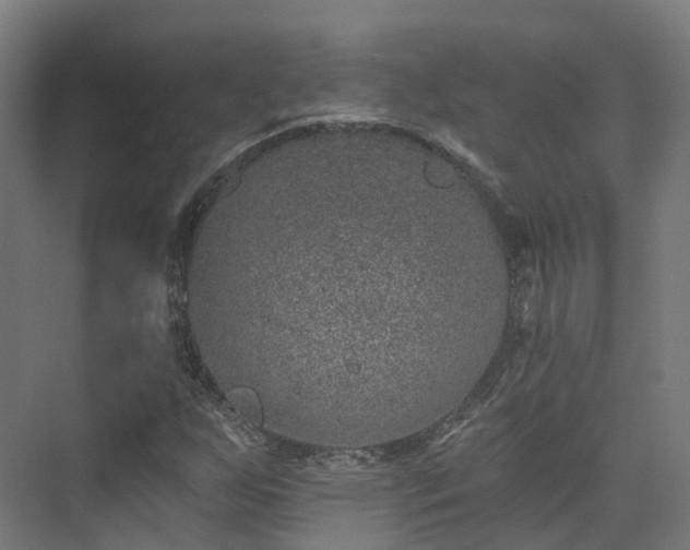 X0000073851255200608171024