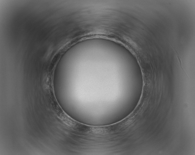 X0000073851258200608171023