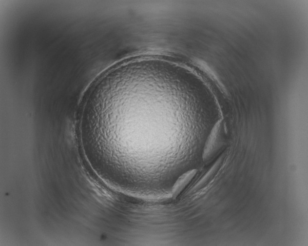 X0000073851260200608171023