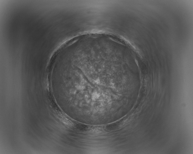 X0000073851262200608171023