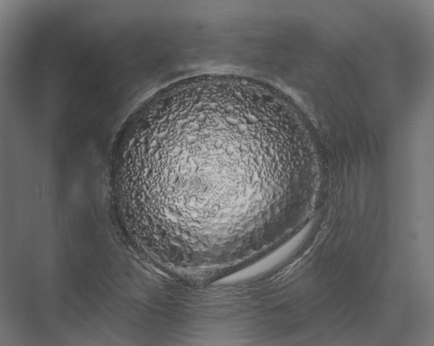 X0000073851263200608171023