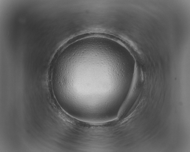 X0000073851264200608171023