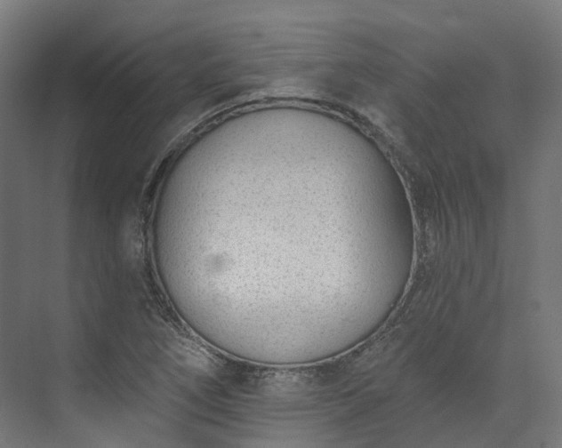 X0000073851266200608171023